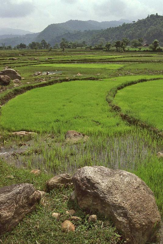 WT 1000 143-07 Nepal.jpg
